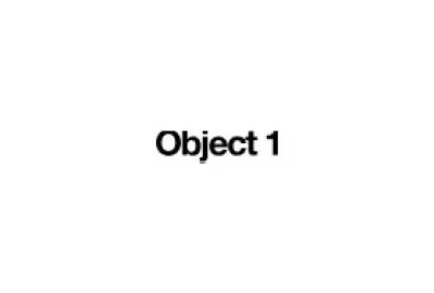 Object 1