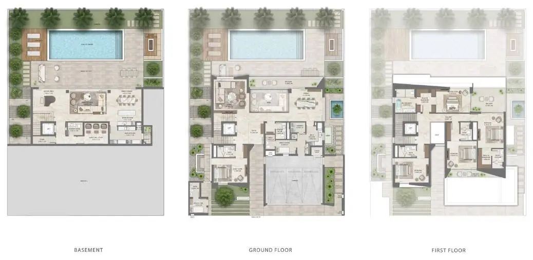 Palmeira - The Oasis-Public Image#6cfdd